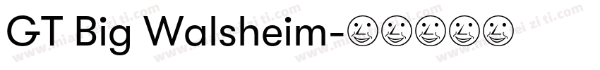 GT Big Walsheim字体转换
